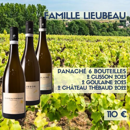 6 bouteilles Panaché : 2x Goulaine 2023, 2x Clisson 2023 et 2x Château Thébaud 2022 Famille Lieubeau (110€) 6 bouteilles Panaché : 2x Goulaine 2023, 2x Clisson 2023 et 2x Château Thébaud 2022 Famille Lieubeau (110€)