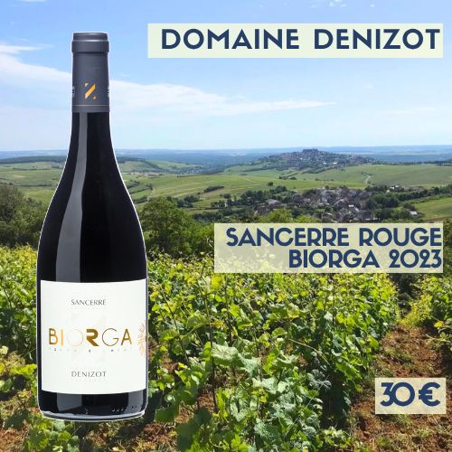 6 bouteilles de Sancerre rouge Biorga 2023 Domaine Denizot (30 €)