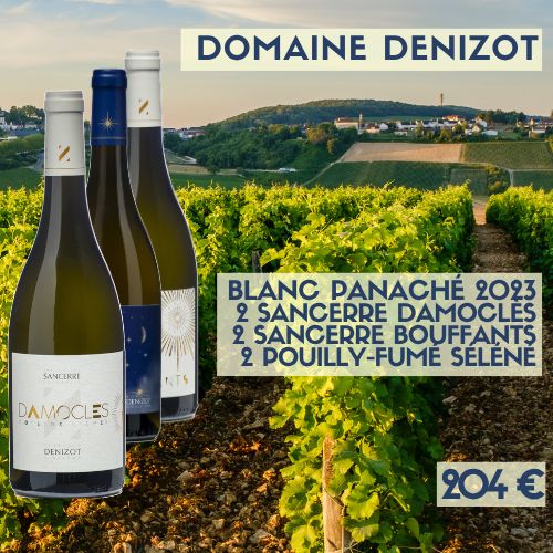 6 bouteilles de BLANC PANACHÉ PARCELAIRES 2023 Domaine Denizot (204 €)