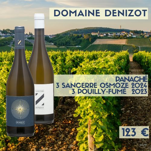 6 bouteilles de PANACHÉ ASSEMBLAGE Domaine Denizot (123 €)