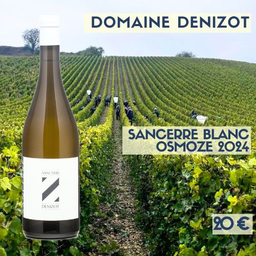 6 bouteilles de Sancerre blanc Osmoze 2024 Domaine Denizot (20 €)