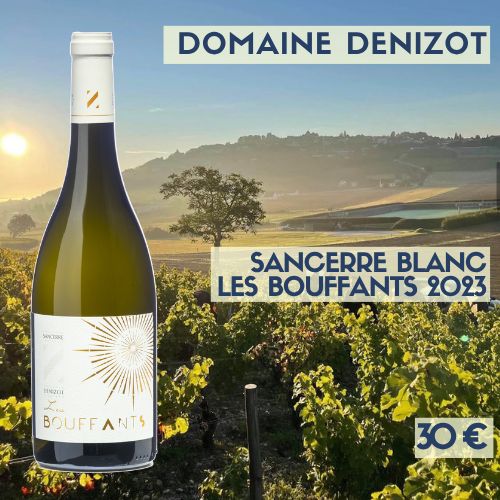 6 bouteilles de Sancerre blanc Les Bouffants 2023 Domaine Denizot (30 €)