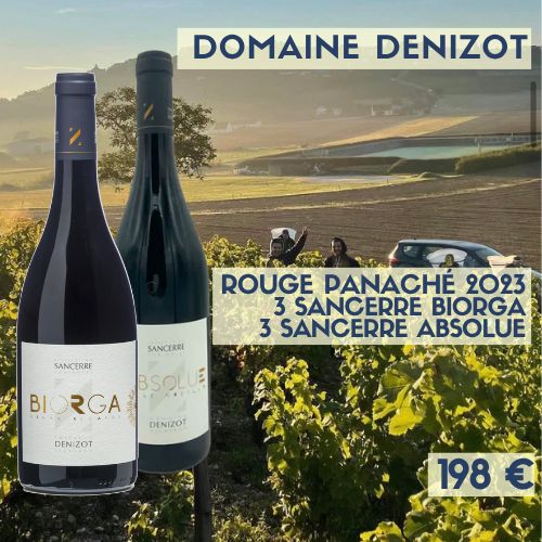 6 bouteilles de ROUGE PANACHÉ PARCELAIRE 2023 Domaine Denizot (198 €)