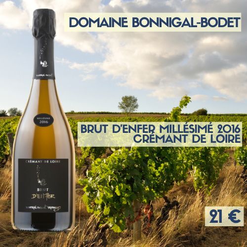 6 bouteilles Brut d'Enfer Millésimé 2016 — Crémant de Loire Bonnigal-Bodet (21 €)