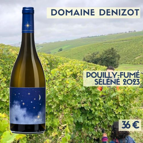 6 bouteilles de Pouilly-Fumé Séléné 2023 Domaine Denizot (36 €)