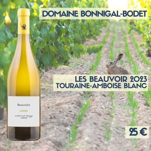 6 bouteilles de Les Beauvoirs 2023 Touraine-Amboise blanc Bonnigal-Bodet (25 €) 6 bouteilles de Les Beauvoirs 2023 Touraine-Amboise blanc Bonnigal-Bodet (25 €)