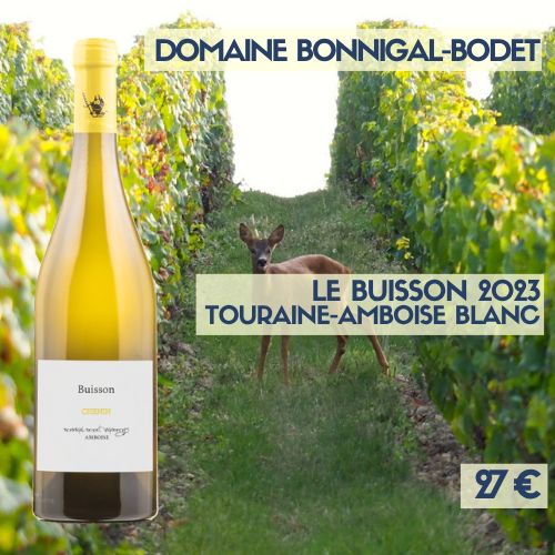6 bouteilles Le Buisson 2023  ouraine-Amboise blanc Bonnigal-Bodet (27 €)