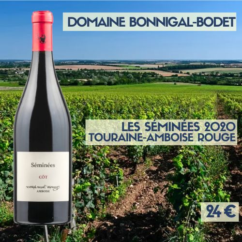 6 bouteilles Les Séminées , Touraine-Amboise rouge Bonnigal-Bodet 2020 (24 €) 6 bouteilles Les Séminées , Touraine-Amboise rouge Bonnigal-Bodet 2020 (24 €)