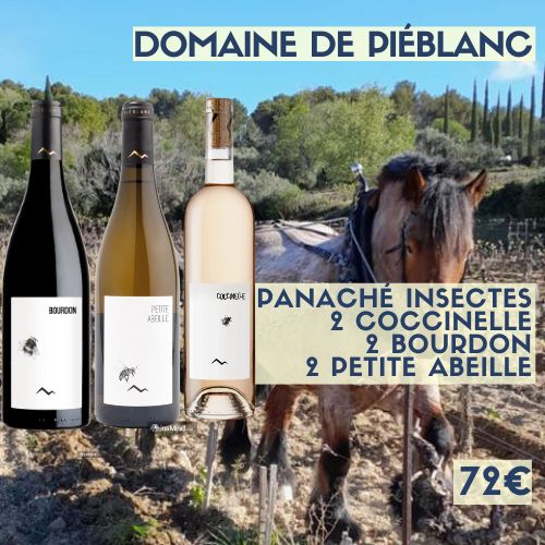 6 bouteilles de PANACHÉ Insectes   Domaine de Piéblanc (72 €)