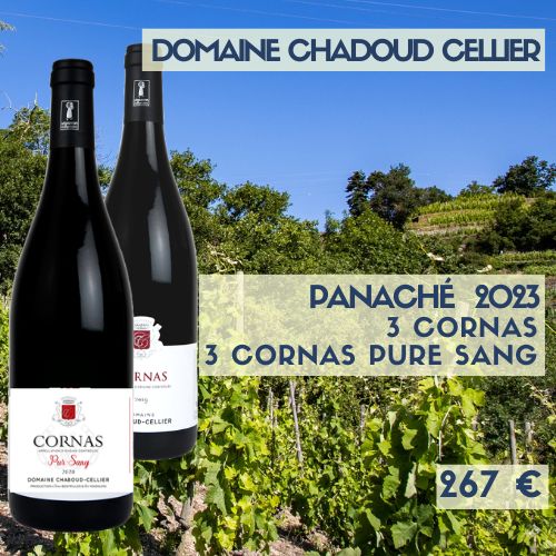 6 bouteilles de Domaine Chaboud Cellier Vin de France Syrah A l'Ombre du Grand Cèdre 2025 (13€)
