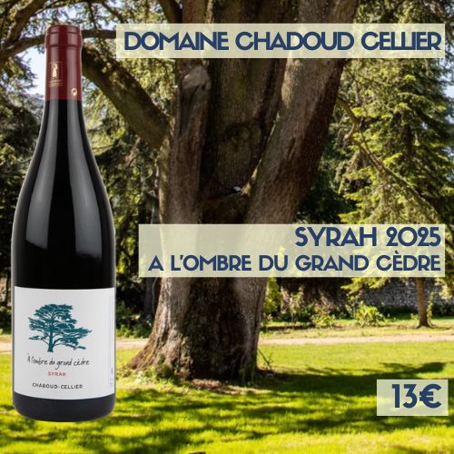 6 bouteilles de Domaine Chaboud Cellier Vin de France Syrah A l'Ombre du Grand Cèdre 2025 (13€)