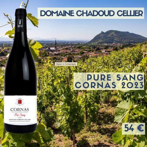 6 bouteilles de Domaine Chaboud Cellier Cornas Pure Sang 2023 (54€)