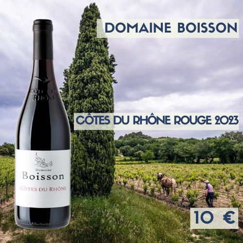 6 bouteilles de Domaine Boisson Côtes-du-Rhône Rouge 2024 (10€)