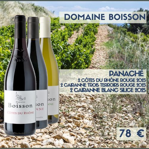 Coffret découverte : 2 Côtes-du-Rhône rouge 2024, 2 Cairanne Trois Terroirs rouge 2023 et 2 Cairanne blancs Silice 2025 Bruno Boisson  (78 €)