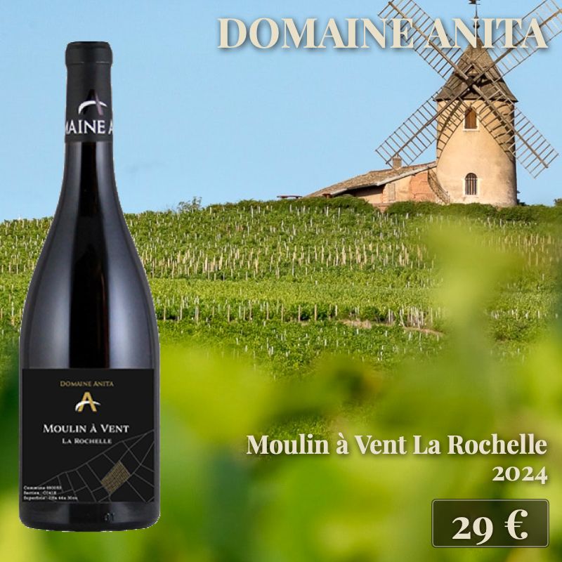 6 bouteilles de "Moulin à Vent La Rochelle 2024", Domaine Anita (29€) 6 bouteilles de "Moulin à Vent La Rochelle 2024", Domaine Anita (29€)