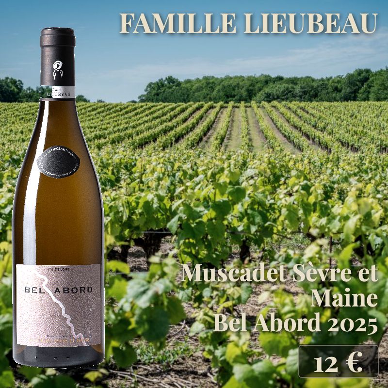 6 bouteilles de "Muscadet Sèvre et Maine Bel Abord 2025", Famille Lieubeau (12€) 6 bouteilles de "Muscadet Sèvre et Maine Bel Abord 2025", Famille Lieubeau (12€)