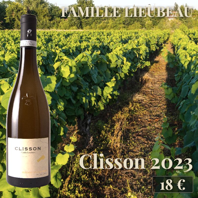6 bouteilles de "Clisson 2023", Famille Lieubeau (18€) 6 bouteilles de "Clisson 2023", Famille Lieubeau (18€)