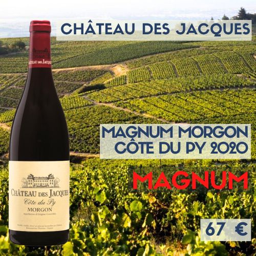 3 magnums de "Morgon Côte du Py 2020", Château des Jacques (67€)