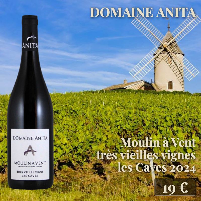 6 bouteilles de "Moulin à Vent très vieilles vignes Les Caves 2024", Domaine Anita (19€) 6 bouteilles de "Moulin à Vent très vieilles vignes Les Caves 2024", Domaine Anita (19€)