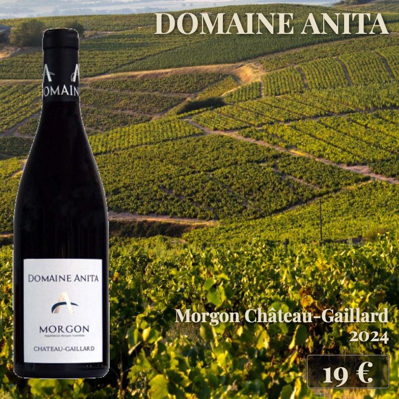 6 bouteilles de "Morgon Château-Gaillard 2024", Domaine Anita (19€) 6 bouteilles de "Morgon Château-Gaillard 2024", Domaine Anita (19€)