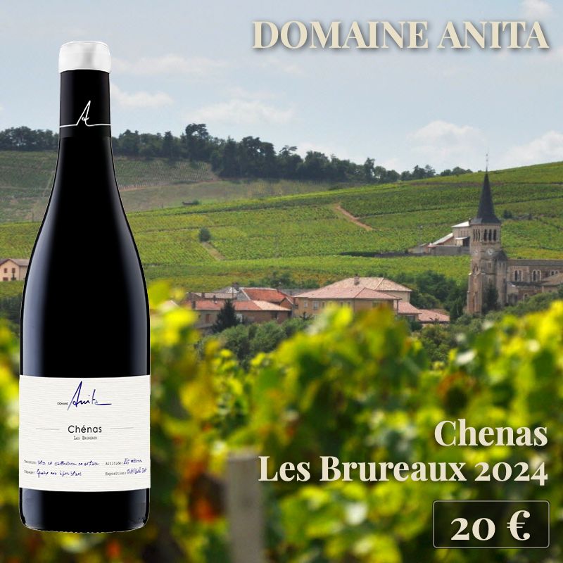 6 bouteilles de "Chénas Les Brureaux 2024", Domaine Anita (20€) 6 bouteilles de "Chénas Les Brureaux 2024", Domaine Anita (20€)