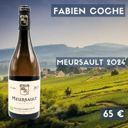 6 bouteilles de "Meursault 2024", Domaine Fabien Coche (65€)