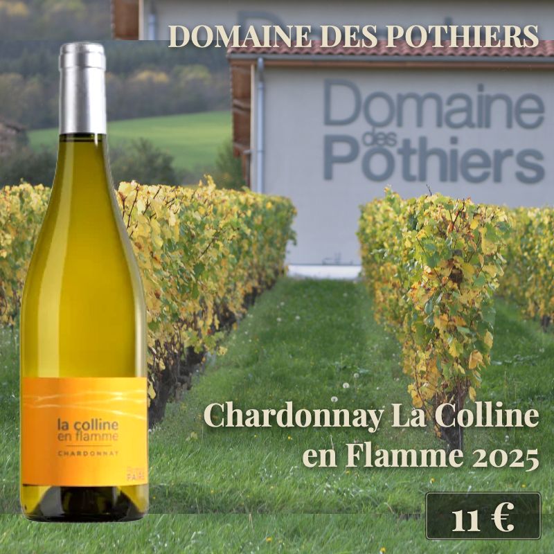 6 bouteilles de "Chardonnay La Colline en Flamme 2025", Domaine des Pothiers (11€) 6 bouteilles de "Chardonnay La Colline en Flamme 2025", Domaine des Pothiers (11€)