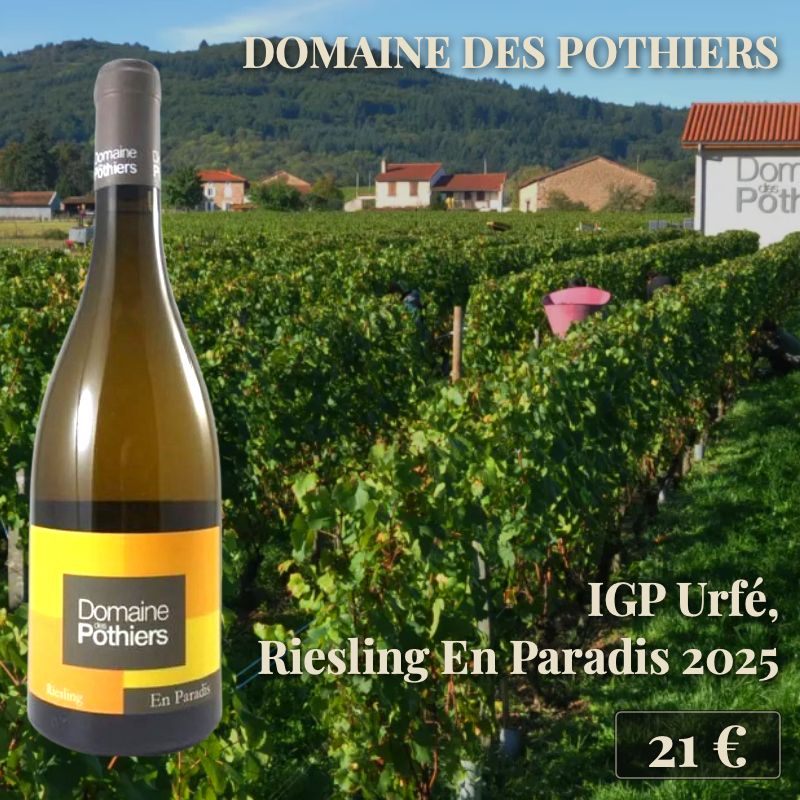 6 bouteilles de "IGP Urfé Riesling En Paradis 2025", Domaine des Pothiers (21€) 6 bouteilles de "IGP Urfé Riesling En Paradis 2025", Domaine des Pothiers (21€)