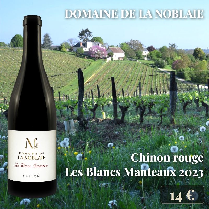 6 bouteilles de "Chinon Les Blancs Manteaux 2023", Domaine de la Noblaie (14€) 6 bouteilles de "Chinon Les Blancs Manteaux 2023", Domaine de la Noblaie (14€)