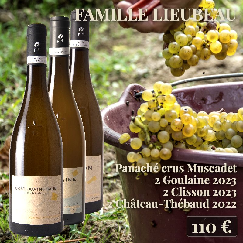 Panaché découverte des crus, 6 bouteilles : 2 bouteilles de Goulaine 2023, 2 bouteilles de Clisson 2023 et 2 bouteilles de Château-Thébaud 2022, Famille Lieubeau (110€) Panaché découverte des crus, 6 bouteilles : 2 bouteilles de Goulaine 2023, 2 bouteilles de Clisson 2023 et 2 bouteilles de Château-Thébaud 2022, Famille Lieubeau (110€)