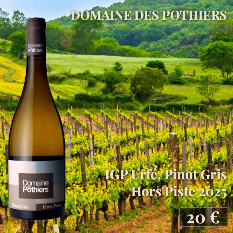 6 bouteilles de "IGP Urfé Pinot Gris Hors Piste 2025", Domaine des Pothiers (20€) 6 bouteilles de "IGP Urfé Pinot Gris Hors Piste 2025", Domaine des Pothiers (20€)