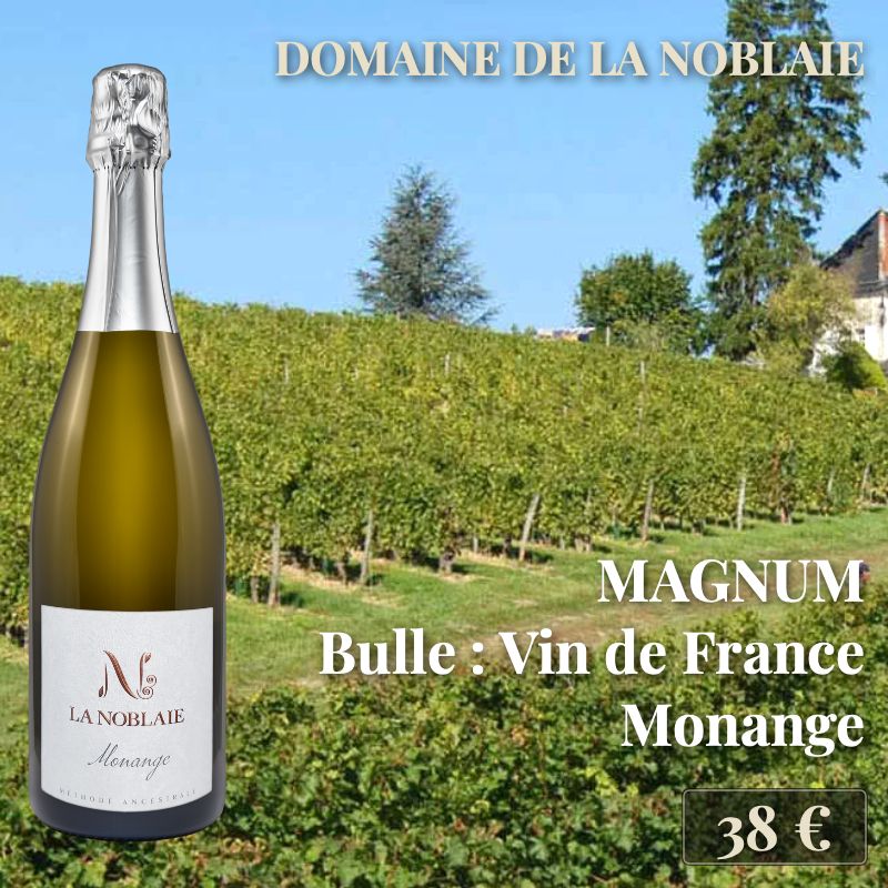 3 magnums de "Monange, Vin de France", Domaine de la Noblaie (38€) 3 magnums de "Monange, Vin de France", Domaine de la Noblaie (38€)