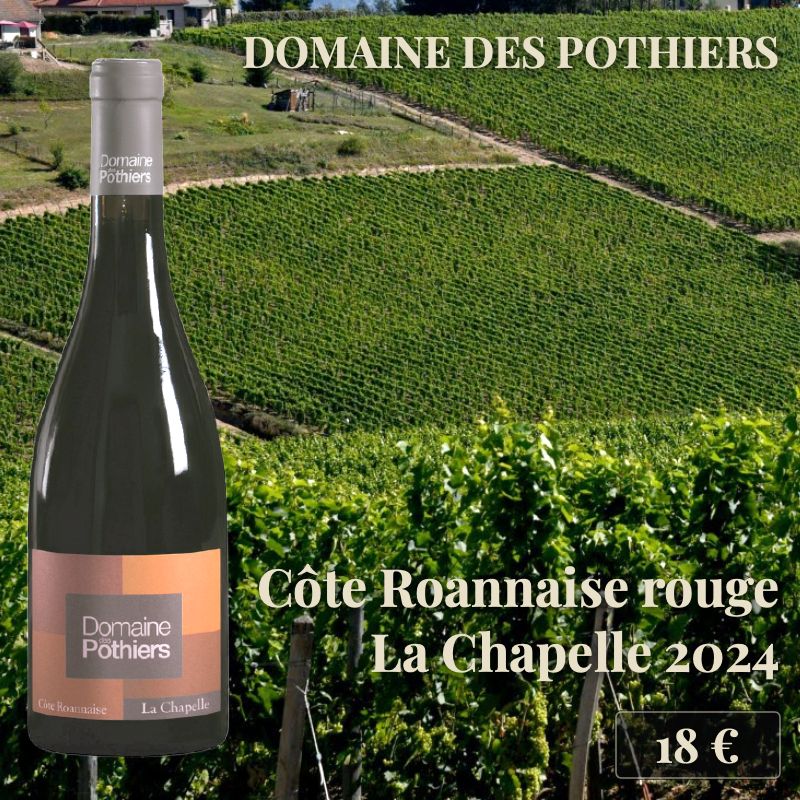 6 bouteilles de "Côte Roannaise rouge La Chapelle 2024", Domaine des Pothiers (18€) 6 bouteilles de "Côte Roannaise rouge La Chapelle 2024", Domaine des Pothiers (18€)