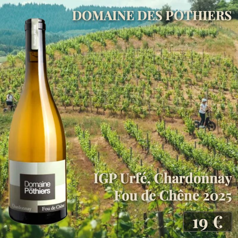 6 bouteilles de "IGP Urfé Chardonnay Fou de Chêne 2025", Domaine des Pothiers (19€) 6 bouteilles de "IGP Urfé Chardonnay Fou de Chêne 2025", Domaine des Pothiers (19€)
