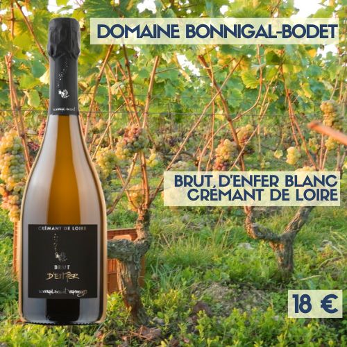 6 bouteilles de "Brut d'Enfer Blanc, Crémant de Loire (base 2022)", Domaine Bonnigal-Bodet (18€) 6 bouteilles de "Brut d'Enfer Blanc, Crémant de Loire (base 2022)", Domaine Bonnigal-Bodet (18€)