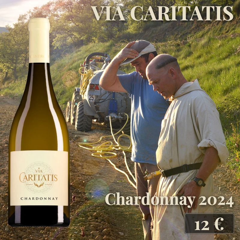 6 bouteilles de "Chardonnay 2024", Via Caritatis (12€) 6 bouteilles de "Chardonnay 2024", Via Caritatis (12€)