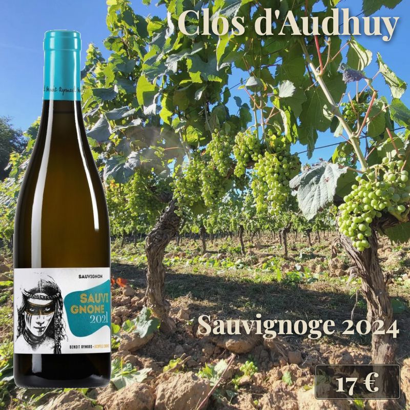 6 bouteilles de "Sauvignone blanc 2024", Clos d'Audhuy (17€) 6 bouteilles de "Sauvignone blanc 2024", Clos d'Audhuy (17€)