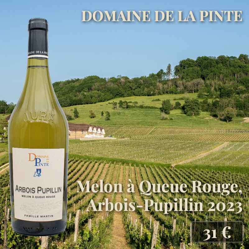 6 bouteilles de "Melon à Queue Rouge, Arbois-Pupillin 2023", Domaine de la Pinte (31€) 6 bouteilles de "Melon à Queue Rouge, Arbois-Pupillin 2023", Domaine de la Pinte (31€)