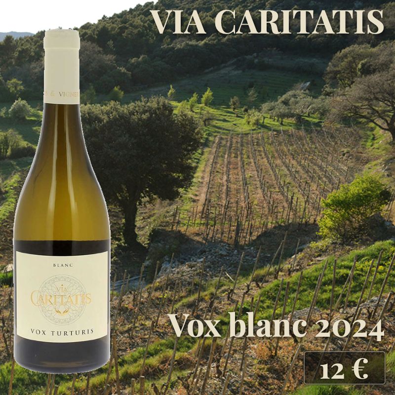 6 bouteilles de "Vox Blanc Ventoux 2024", Via Caritatis (12€) 6 bouteilles de "Vox Blanc Ventoux 2024", Via Caritatis (12€)