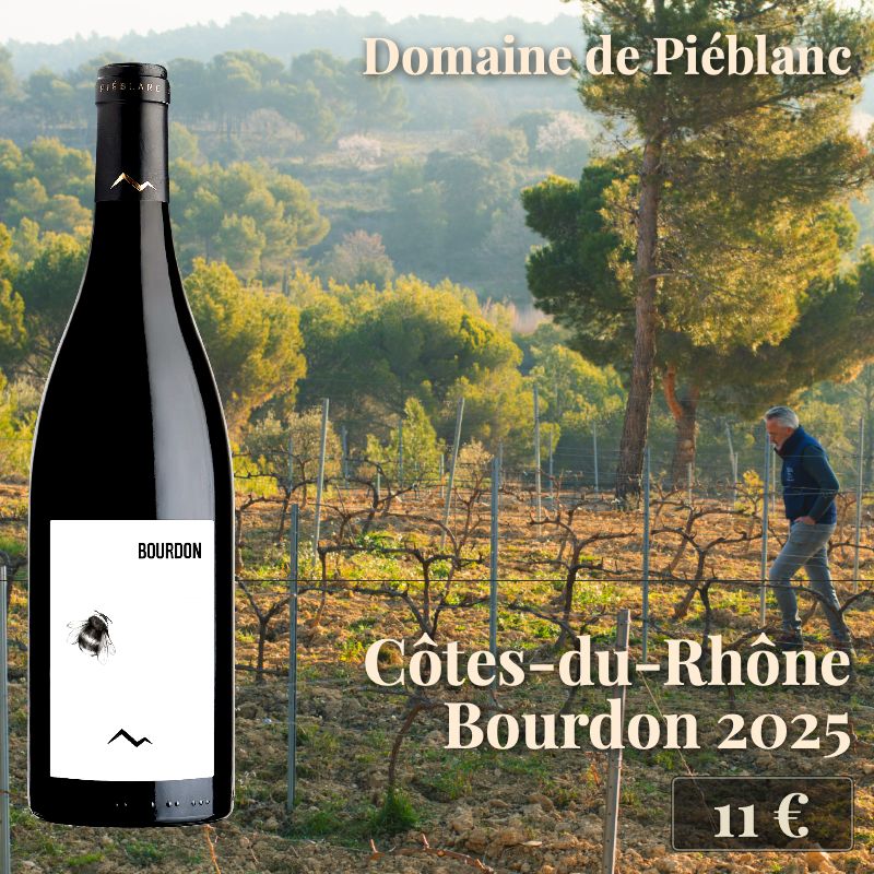 6 bouteilles de "Bourdon Côtes-du-Rhône rouge 2025, Syrah", Domaine de Piéblanc (11€) 6 bouteilles de "Bourdon Côtes-du-Rhône rouge 2025, Syrah", Domaine de Piéblanc (11€)