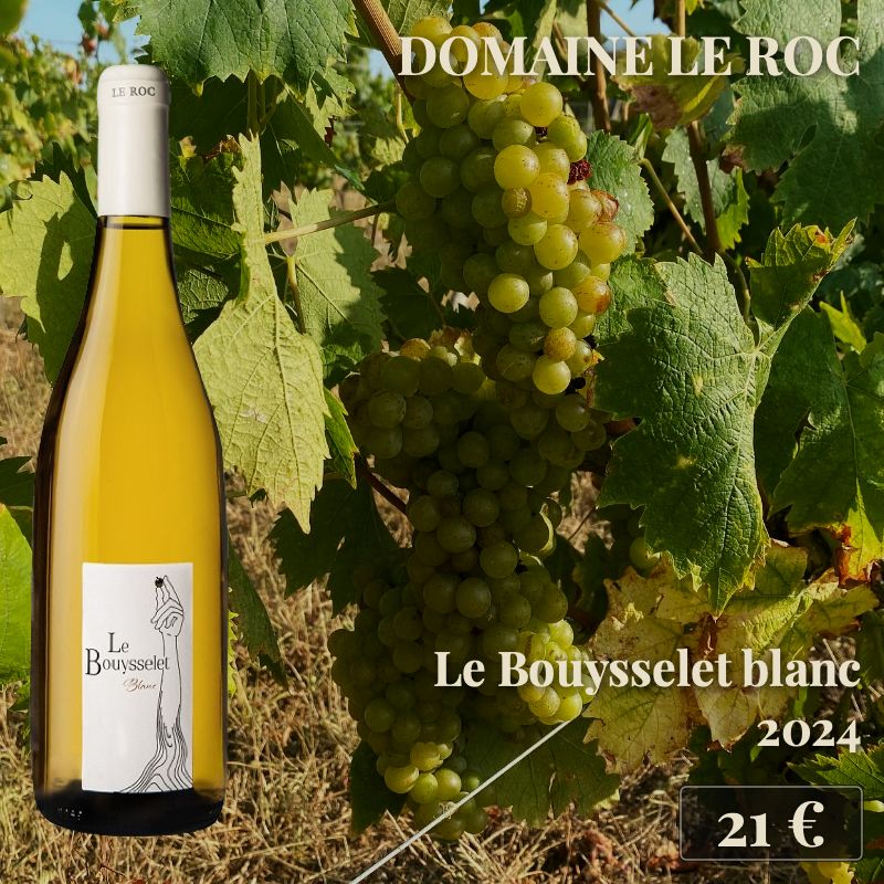 6 bouteilles de "Le Bouysselet blanc 2024", Domaine Le Roc (21€) 6 bouteilles de "Le Bouysselet blanc 2024", Domaine Le Roc (21€)