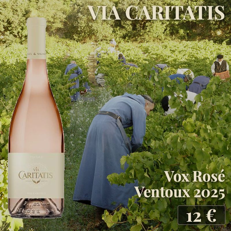 6 bouteilles de "Vox Rosé Ventoux 2025", Via Caritatis (12€) 6 bouteilles de "Vox Rosé Ventoux 2025", Via Caritatis (12€)