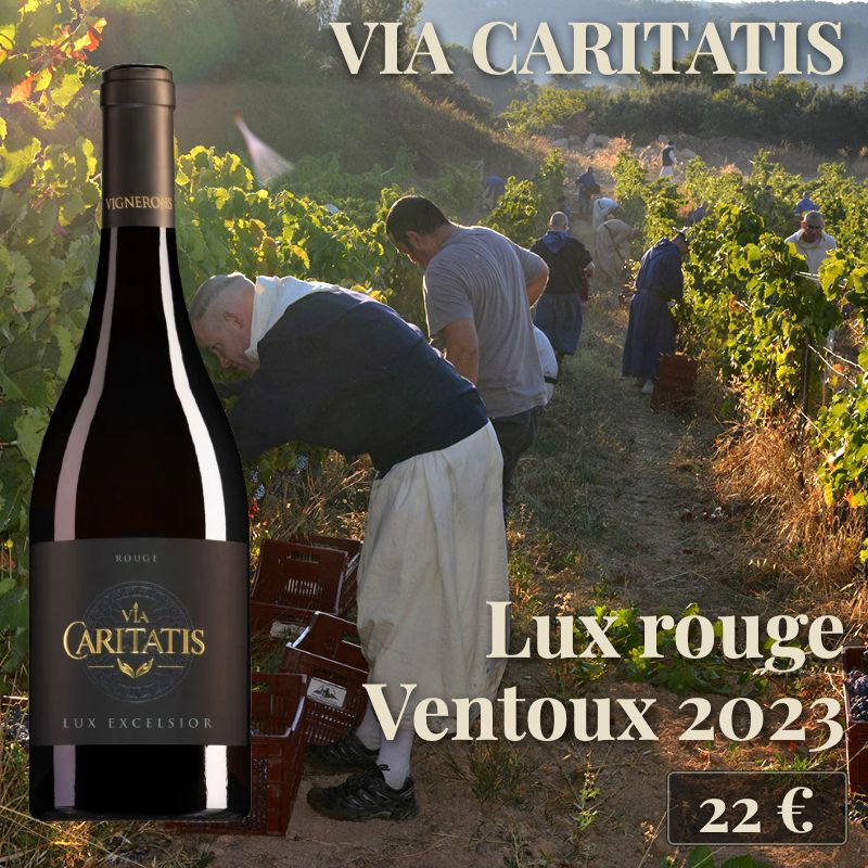 6 bouteilles de "Lux rouge Ventoux 2023", Via Caritatis (22€) 6 bouteilles de "Lux rouge Ventoux 2023", Via Caritatis (22€)