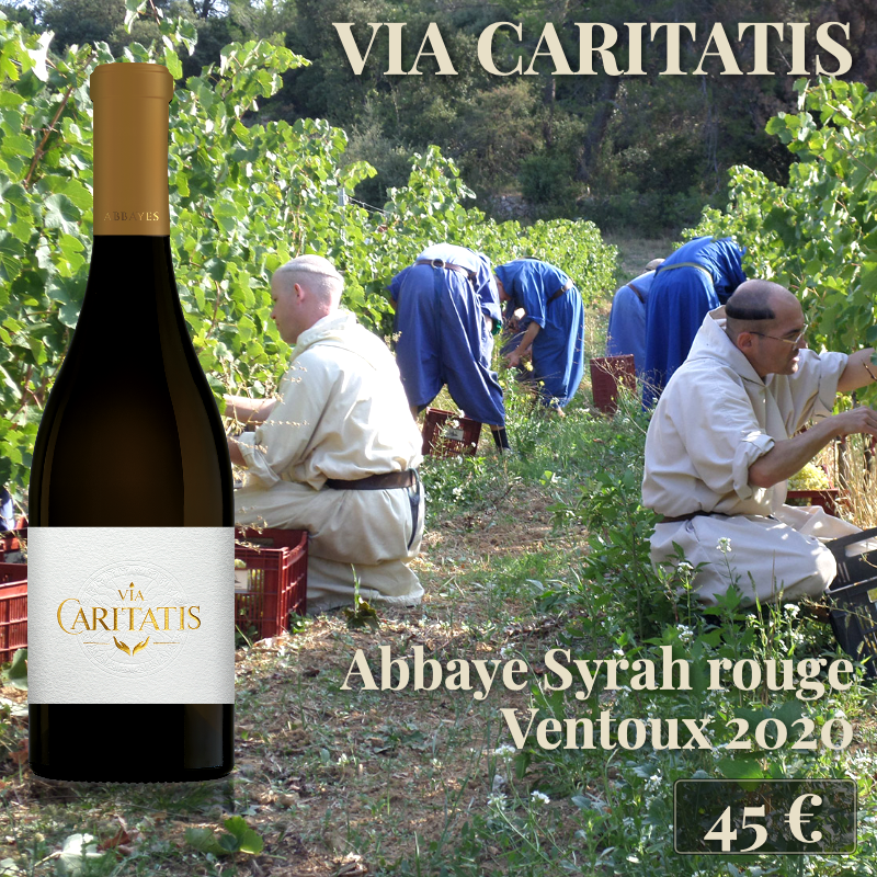 6 bouteilles de "Abbaye Syrah rouge Ventoux 2020", Via Caritatis (45€) 6 bouteilles de "Abbaye Syrah rouge Ventoux 2020", Via Caritatis (45€)