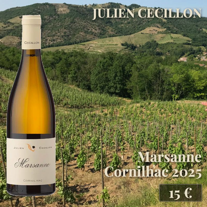 6 bouteilles de "Marsanne Cornilhac 2025", Domaine Cecillon (15€) 6 bouteilles de "Marsanne Cornilhac 2025", Domaine Cecillon (15€)