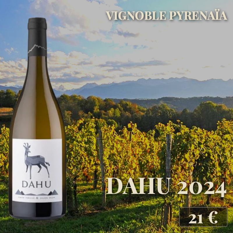 6 bouteilles de "Dahu, Vin de France 2024", Vignoble Pyrenaïa (21€) 6 bouteilles de "Dahu, Vin de France 2024", Vignoble Pyrenaïa (21€)