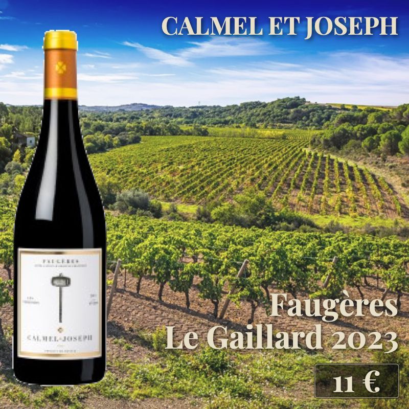 6 bouteilles de "Faugères Le Gaillard Rouge 2023", Calmel et Joseph (11€) 6 bouteilles de "Faugères Le Gaillard Rouge 2023", Calmel et Joseph (11€)