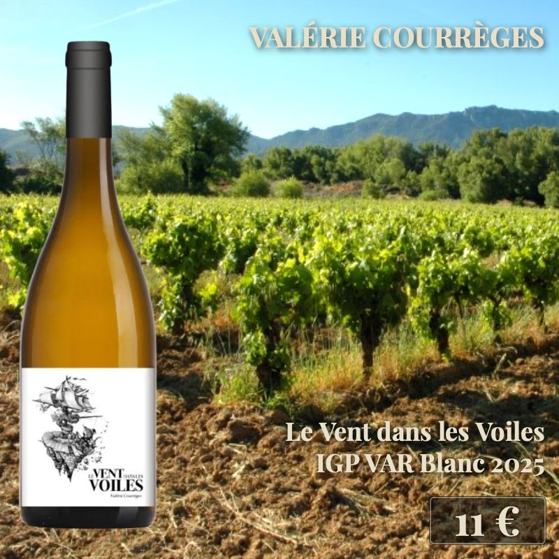 6 bouteilles de "Le Vent dans les Voiles Blanc 2025", Valérie Courrèges (11€) 6 bouteilles de "Le Vent dans les Voiles Blanc 2025", Valérie Courrèges (11€)