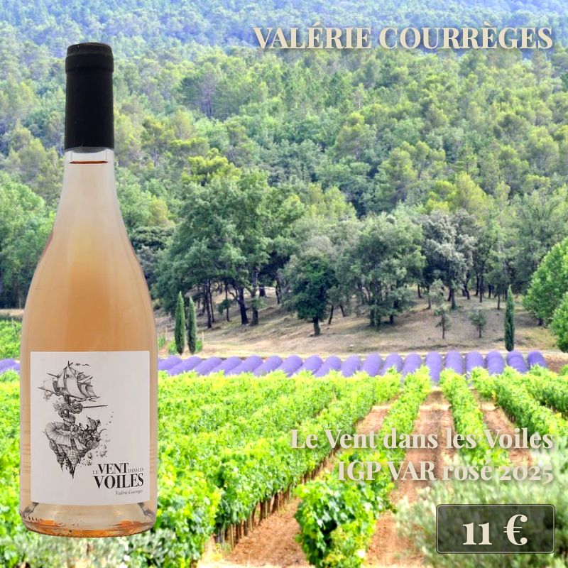 6 bouteilles de "Le Vent dans les Voiles Rosé 2025", Valérie Courrèges (11€) 6 bouteilles de "Le Vent dans les Voiles Rosé 2025", Valérie Courrèges (11€)