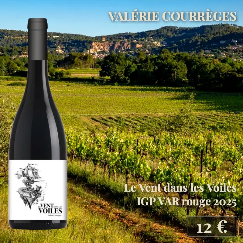 6 bouteilles de "Le Vent dans les Voiles Rouge 2024", Valérie Courrèges (12€) 6 bouteilles de "Le Vent dans les Voiles Rouge 2024", Valérie Courrèges (12€)